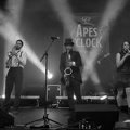 Apes O'Clock - Tardives - Lannion